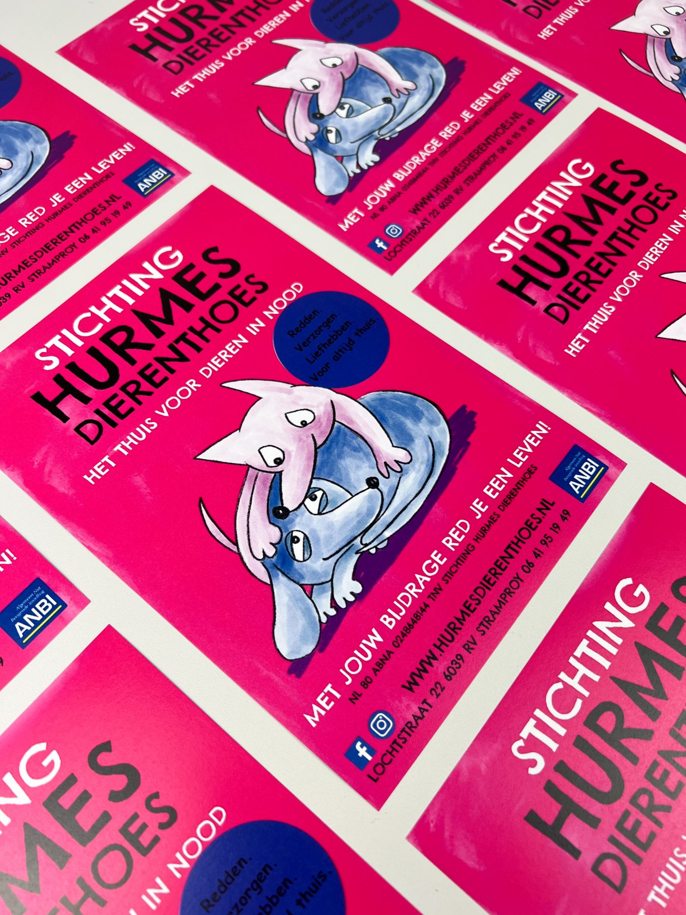 Kleurrijke Flyers voor Dieren